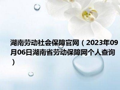 湖南劳动社会保障官网（2023年09月06日湖南省劳动保障网个人查询）