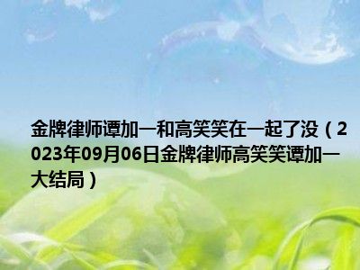 金牌律师谭加一和高笑笑在一起了没（2023年09月06日金牌律师高笑笑谭加一大结局）