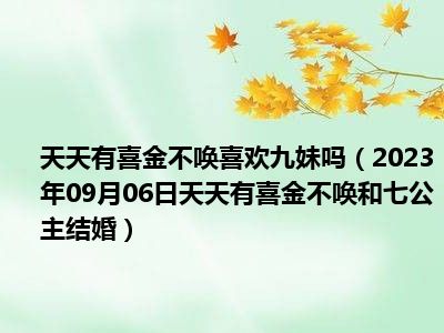 天天有喜金不唤喜欢九妹吗（2023年09月06日天天有喜金不唤和七公主结婚）