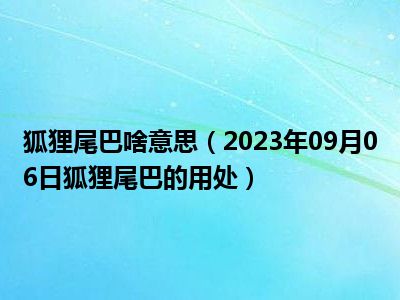 狐狸尾巴啥意思（2023年09月06日狐狸尾巴的用处）