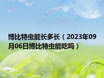 博比特虫能长多长（2023年09月06日博比特虫能吃吗）