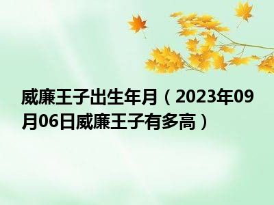 威廉王子出生年月（2023年09月06日威廉王子有多高）