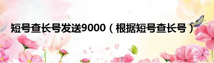 短号查长号发送9000（根据短号查长号）