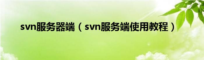 svn服务器端（svn服务端使用教程）
