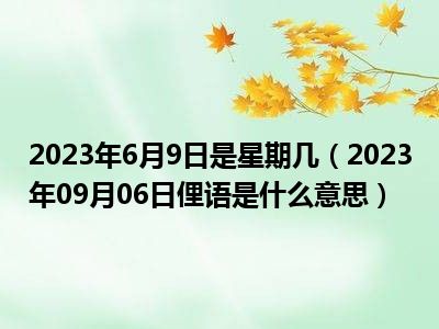 2023年6月9日是星期几（2023年09月06日俚语是什么意思）