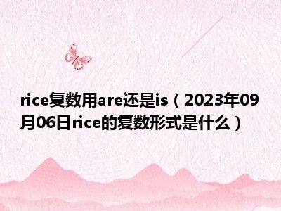 rice复数用are还是is（2023年09月06日rice的复数形式是什么）