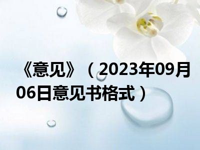 《意见》（2023年09月06日意见书格式）