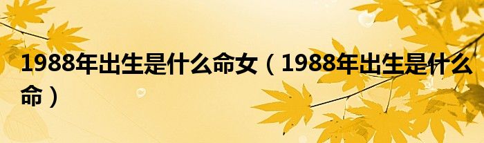  1988年出生是什么命女（1988年出生是什么命）