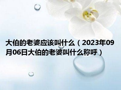 大伯的老婆应该叫什么（2023年09月06日大伯的老婆叫什么称呼）