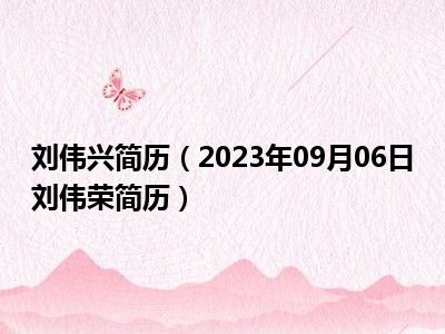 刘伟兴简历（2023年09月06日刘伟荣简历）