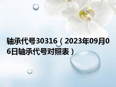 轴承代号30316（2023年09月06日轴承代号对照表）