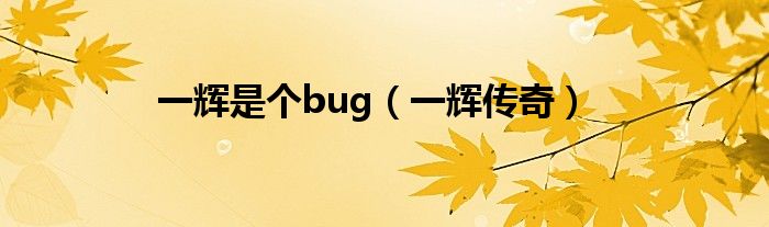  一辉是个bug（一辉传奇）