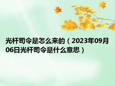 光杆司令是怎么来的（2023年09月06日光杆司令是什么意思）