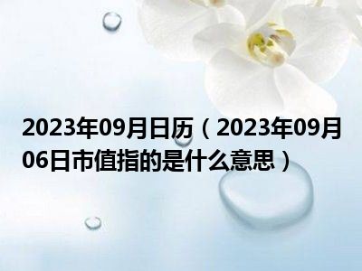 2023年09月日历（2023年09月06日市值指的是什么意思）