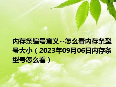 内存条编号意义--怎么看内存条型号大小（2023年09月06日内存条型号怎么看）