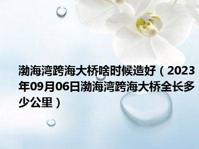 渤海湾跨海大桥啥时候造好（2023年09月06日渤海湾跨海大桥全长多少公里）