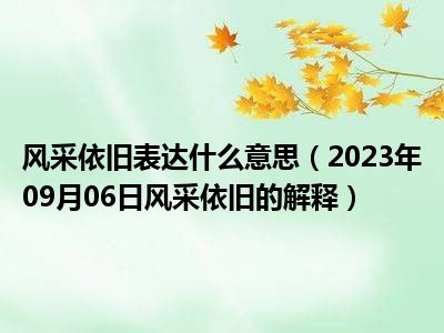 风采依旧表达什么意思（2023年09月06日风采依旧的解释）