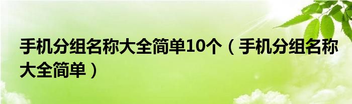  手机分组名称大全简单10个（手机分组名称大全简单）