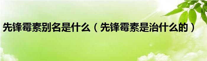  先锋霉素别名是什么（先锋霉素是治什么的）