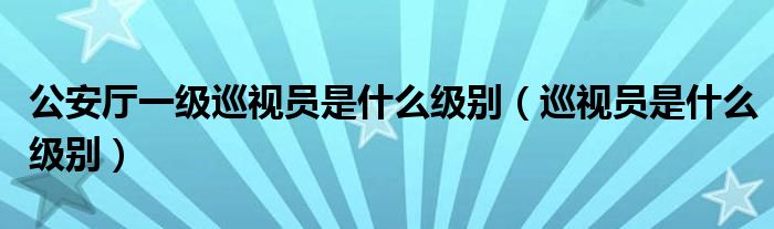  公安厅一级巡视员是什么级别（巡视员是什么级别）