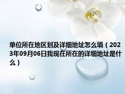 单位所在地区划及详细地址怎么填（2023年09月06日我现在所在的详细地址是什么）