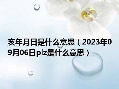 亥年月日是什么意思（2023年09月06日plz是什么意思）