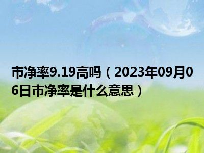 市净率9.19高吗（2023年09月06日市净率是什么意思）