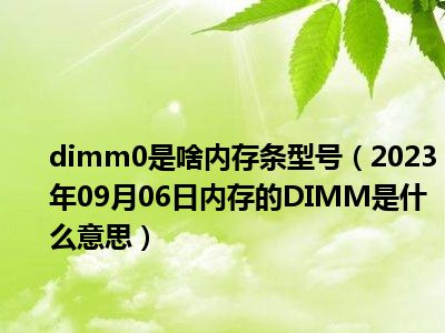 dimm0是啥内存条型号（2023年09月06日内存的DIMM是什么意思）