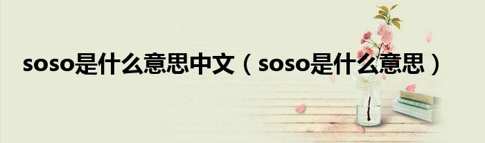  soso是什么意思中文（soso是什么意思）