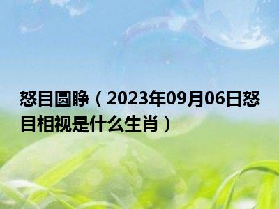 怒目圆睁（2023年09月06日怒目相视是什么生肖）