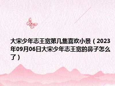 大宋少年志王宽第几集喜欢小景（2023年09月06日大宋少年志王宽的鼻子怎么了）