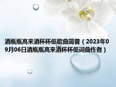 酒瓶瓶高来酒杯杯低歌曲简普（2023年09月06日酒瓶瓶高来酒杯杯低词曲作者）