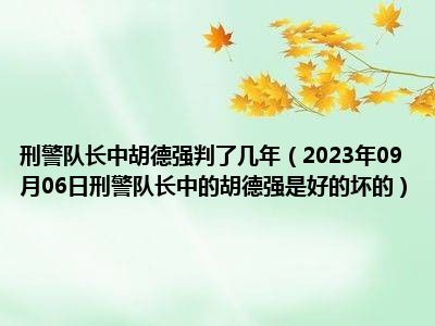 刑警队长中胡德强判了几年（2023年09月06日刑警队长中的胡德强是好的坏的）