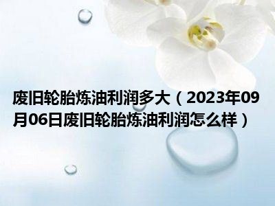 废旧轮胎炼油利润多大（2023年09月06日废旧轮胎炼油利润怎么样）