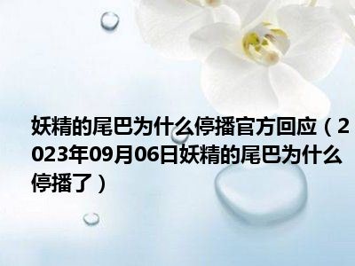 妖精的尾巴为什么停播官方回应（2023年09月06日妖精的尾巴为什么停播了）