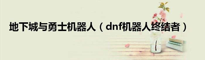  地下城与勇士机器人（dnf机器人终结者）