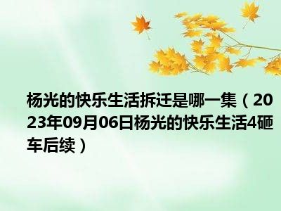 杨光的快乐生活拆迁是哪一集（2023年09月06日杨光的快乐生活4砸车后续）