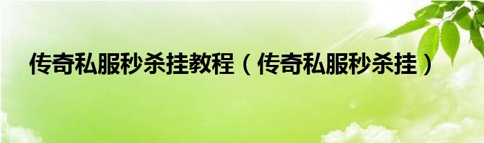  传奇私服秒杀挂教程（传奇私服秒杀挂）