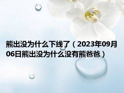 熊出没为什么下线了（2023年09月06日熊出没为什么没有熊爸爸）