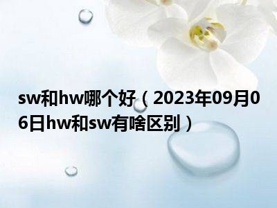 sw和hw哪个好（2023年09月06日hw和sw有啥区别）