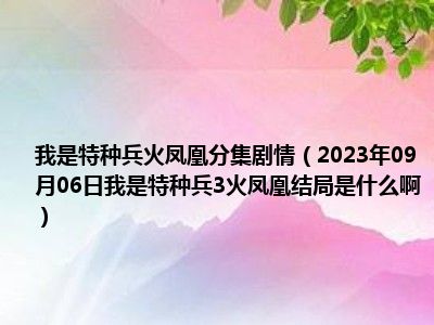 我是特种兵火凤凰分集剧情（2023年09月06日我是特种兵3火凤凰结局是什么啊）