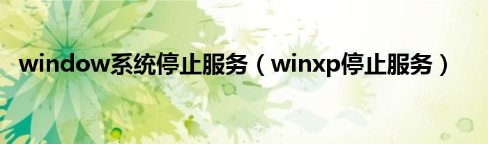  window系统停止服务（winxp停止服务）