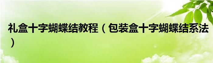  礼盒十字蝴蝶结教程（包装盒十字蝴蝶结系法）