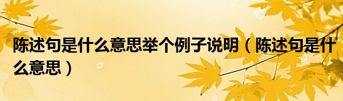  陈述句是什么意思举个例子说明（陈述句是什么意思）