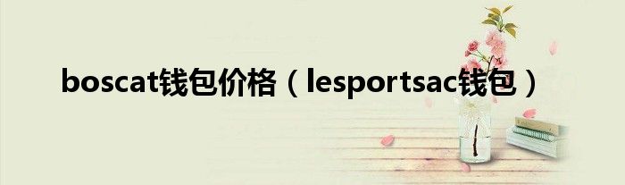  boscat钱包价格（lesportsac钱包）