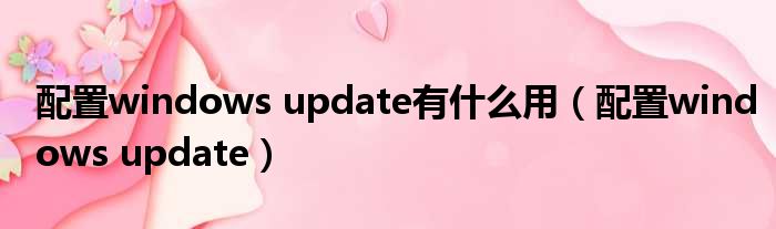 配置windows update有什么用（配置windows update）