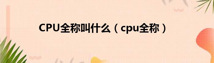 CPU全称叫什么（cpu全称）