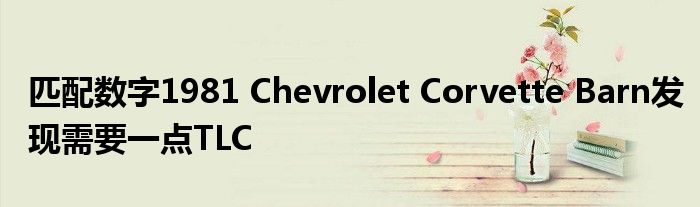 匹配数字1981 Chevrolet Corvette Barn发现需要一点TLC
