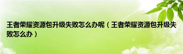 王者荣耀资源包升级失败怎么办呢（王者荣耀资源包升级失败怎么办）