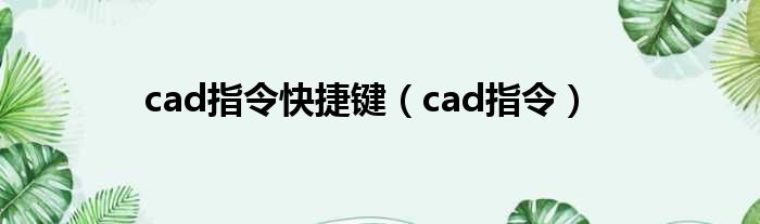 cad指令快捷键（cad指令）